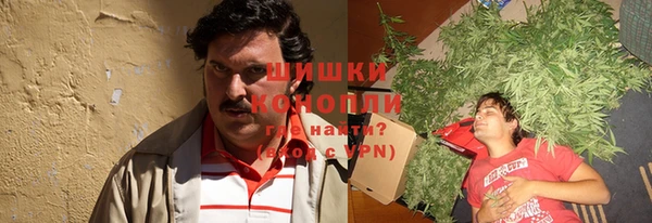 гидропоника Лагань