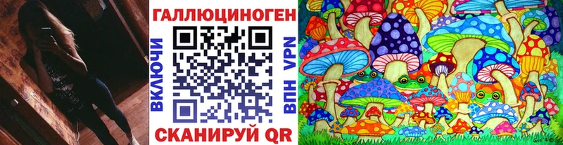 Галлюциногенные грибы Psilocybe  Новокубанск 
