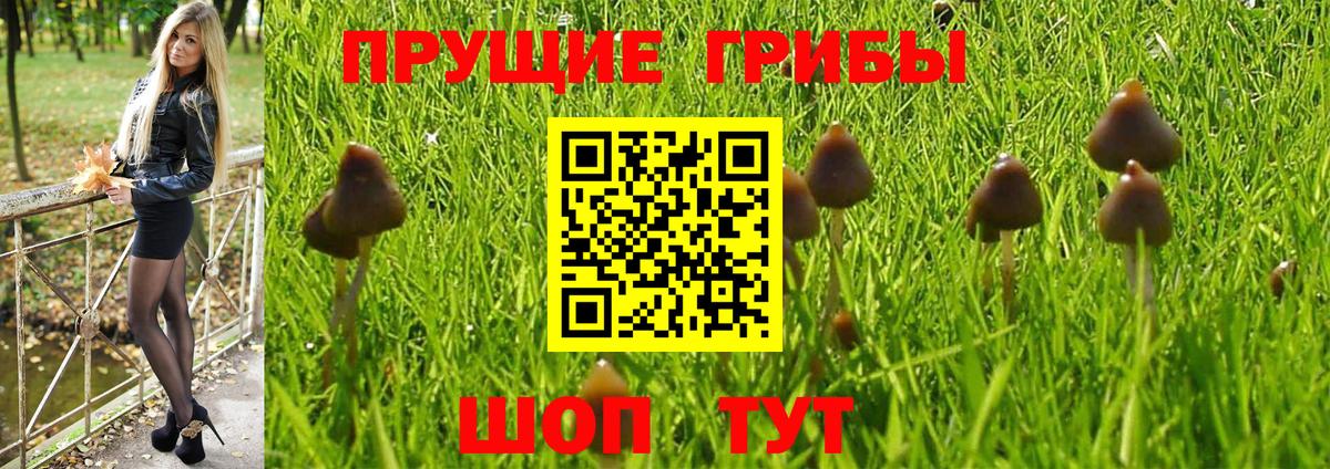 Псилоцибиновые грибы мицелий  Вход с VPN  Новокубанск 