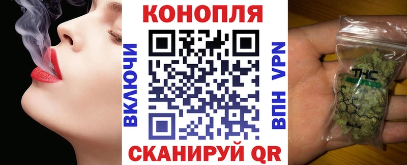 Конопля гибрид  Новокубанск 